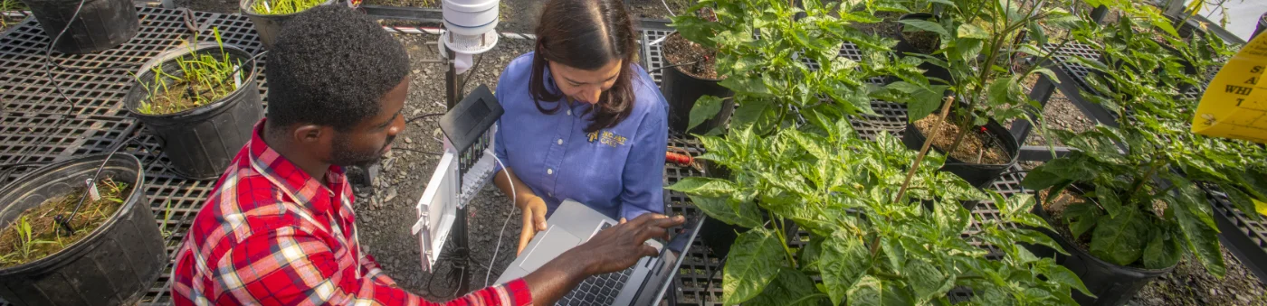 Excited N.C. A&T graduates in caps and gowns celebrate at commencement, holding diplomas and taking selfies. The graphic highlights 14,311 students enrolled in Fall 2024, 95 degree programs, and 2,274 bachelor degrees awarded in 2023–2024.
